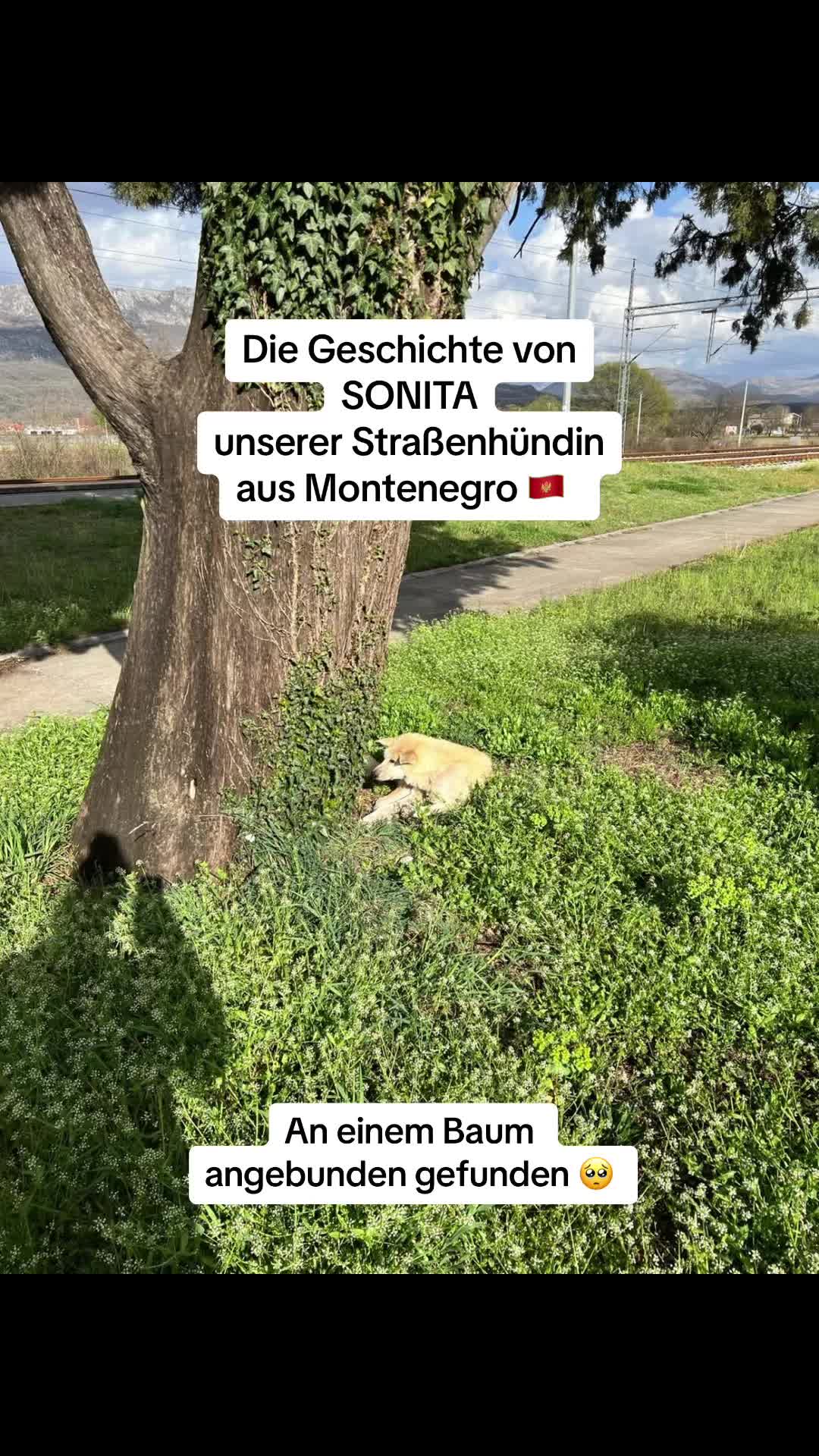 @haushaltsliebe