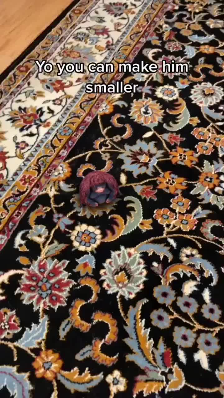 @user8469326748087