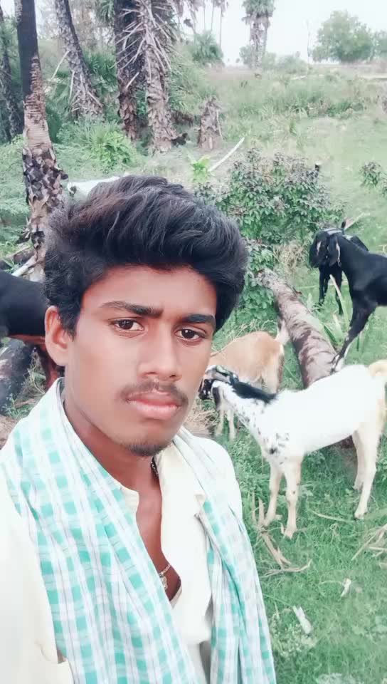 @Mekala Madhu Yadav