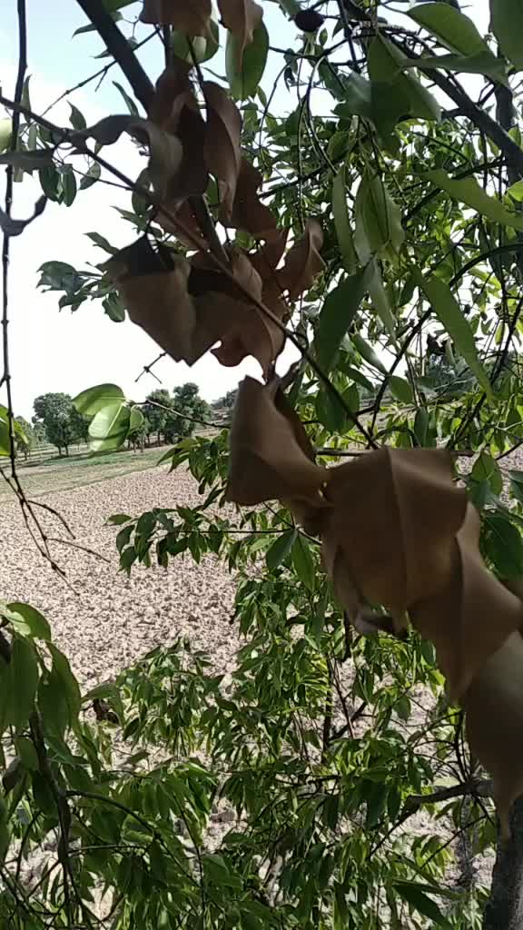 @joker_bhai
