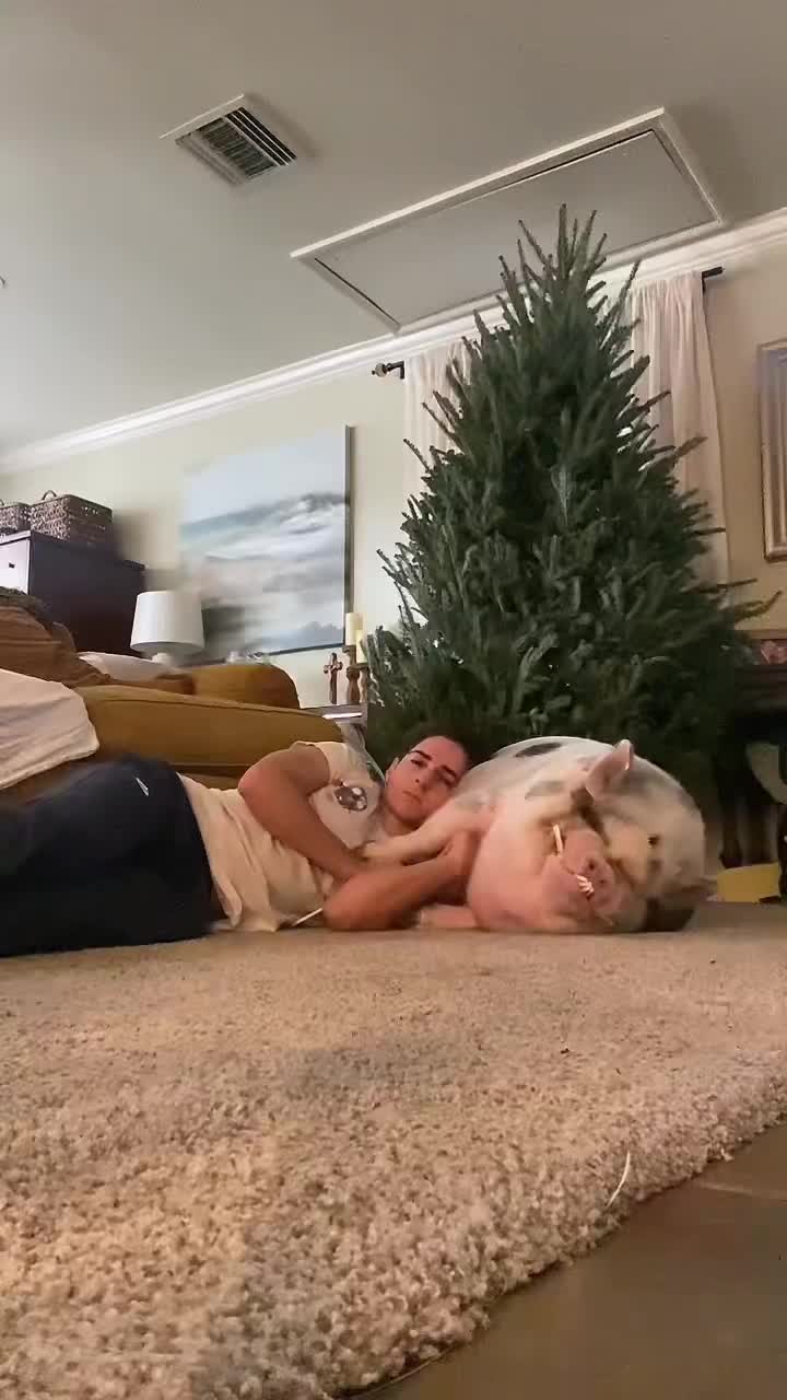 @gabeybabey