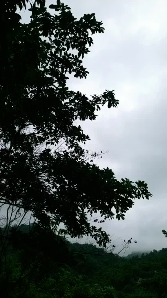 @@Nilakshi (nila)