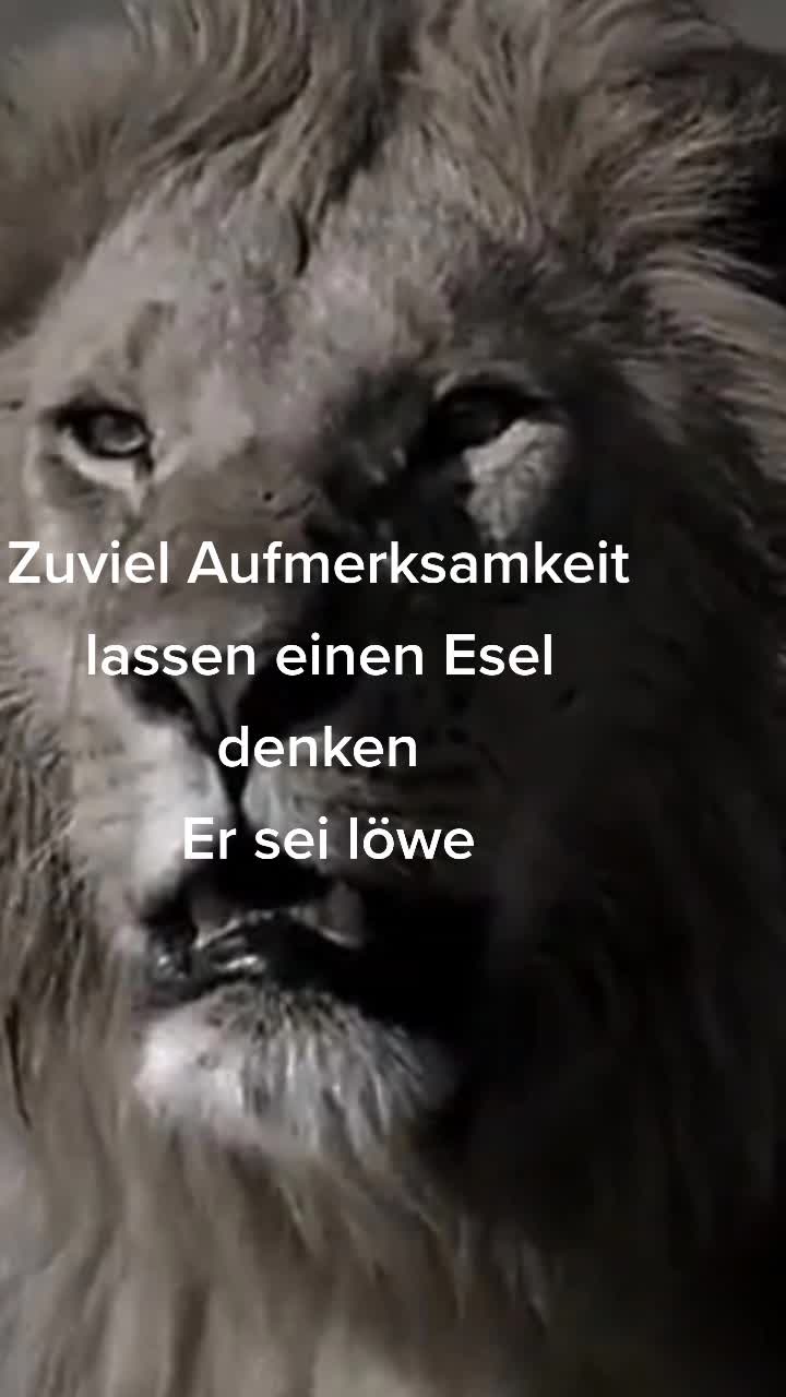 @scrabdealer_offiziell