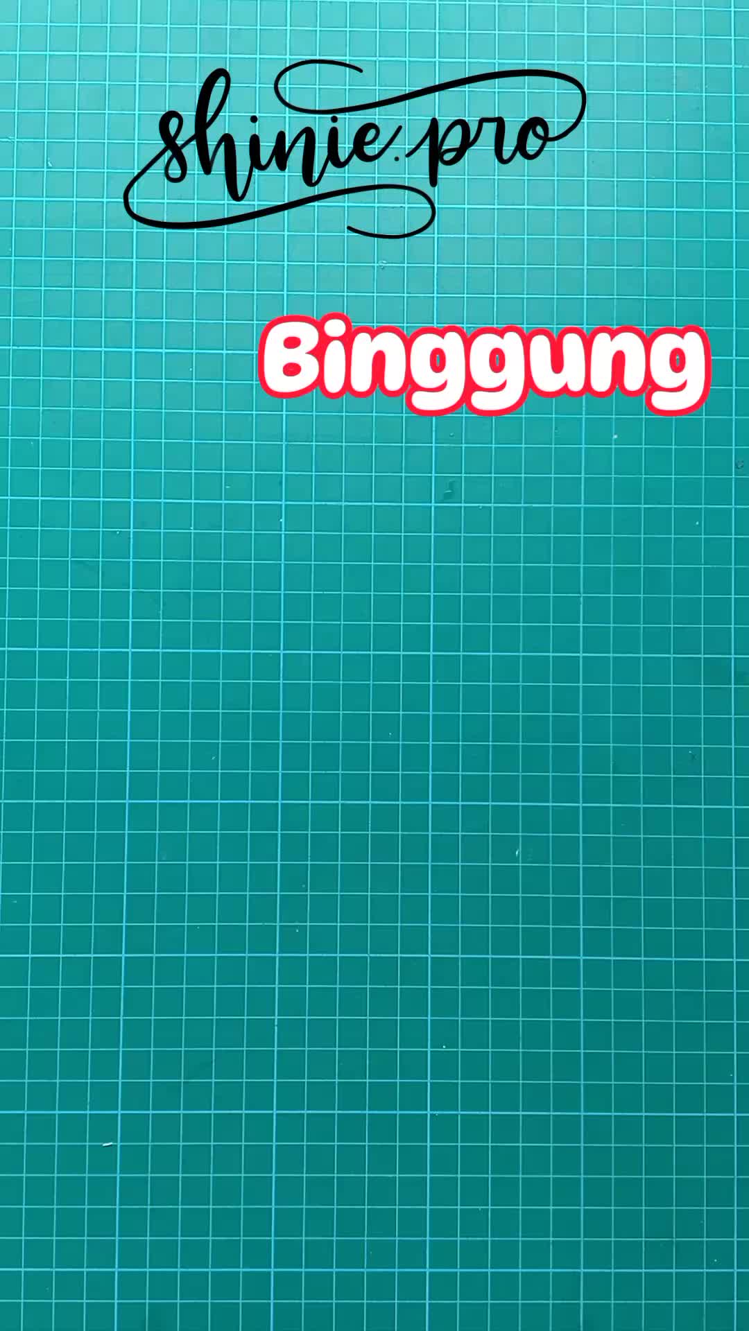 @ShiNie pro