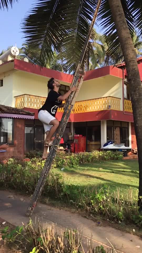 @Rajveer Dey RV 🔶