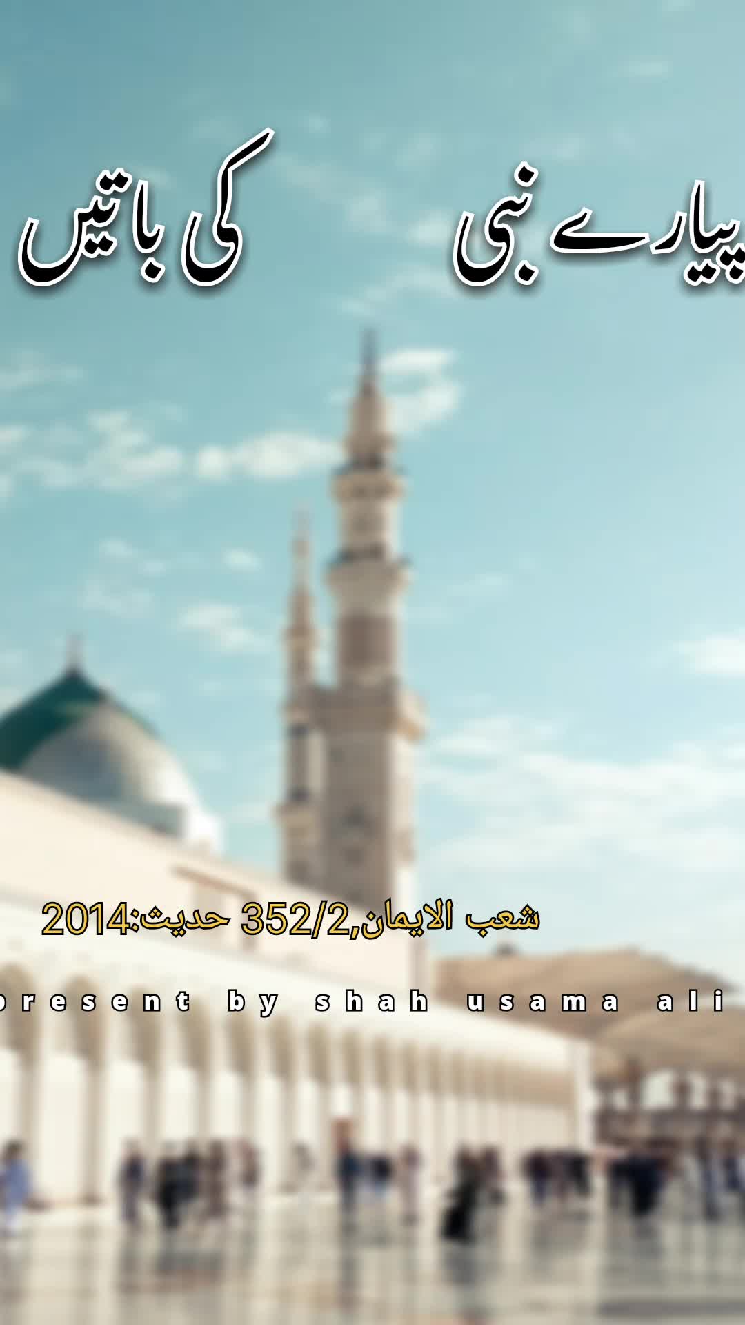 @shah usama ali