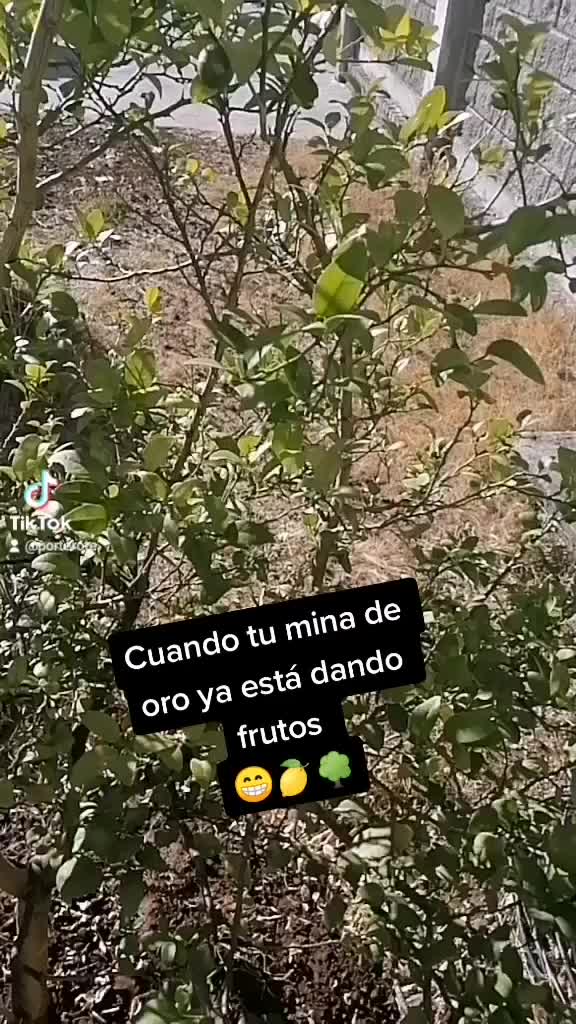 @Dani Porterote