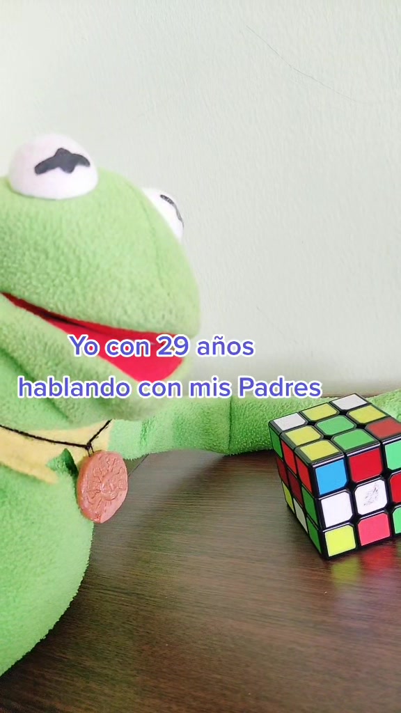 @RanitaAlva🐸