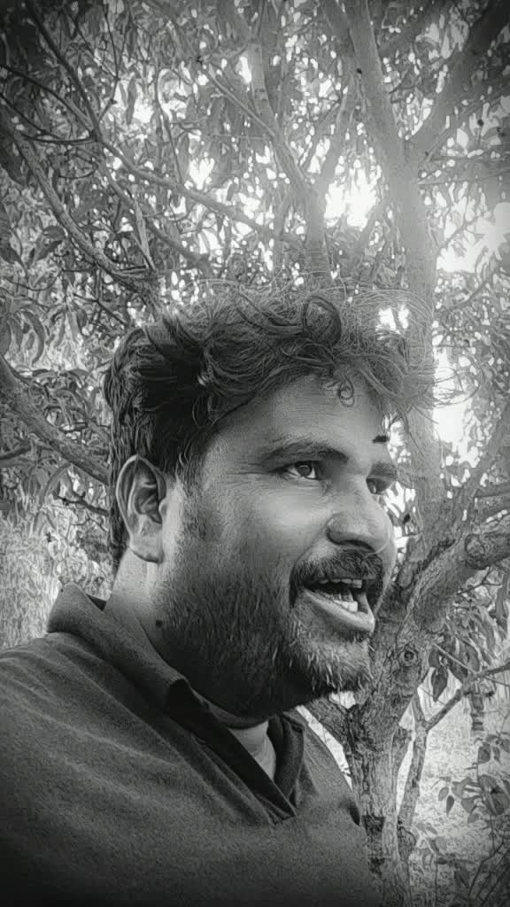 @dipstick darbar
