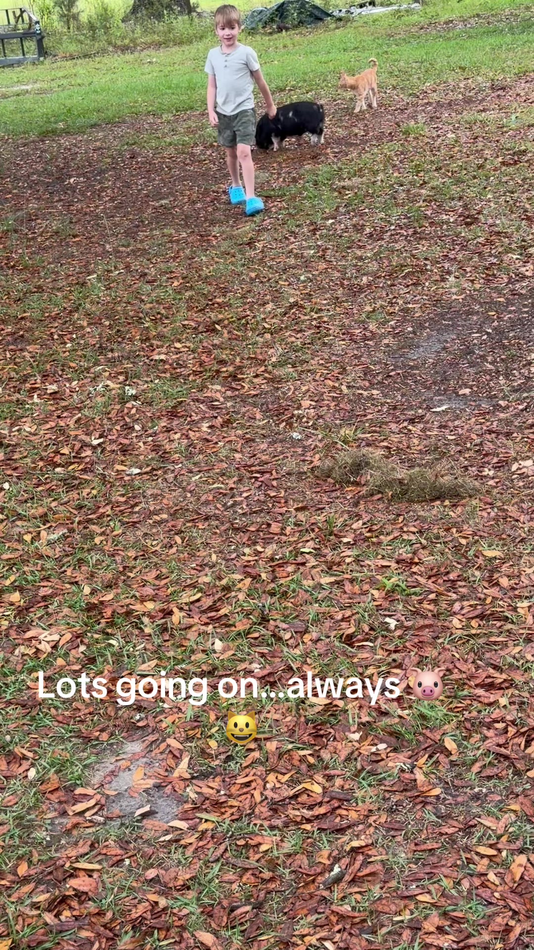 @Kelley Farms
