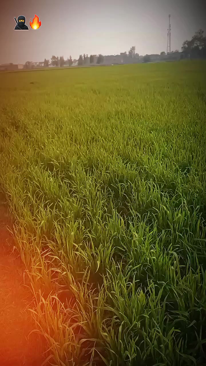 @𝑸𝒖𝑬𝒆𝑵➳♥