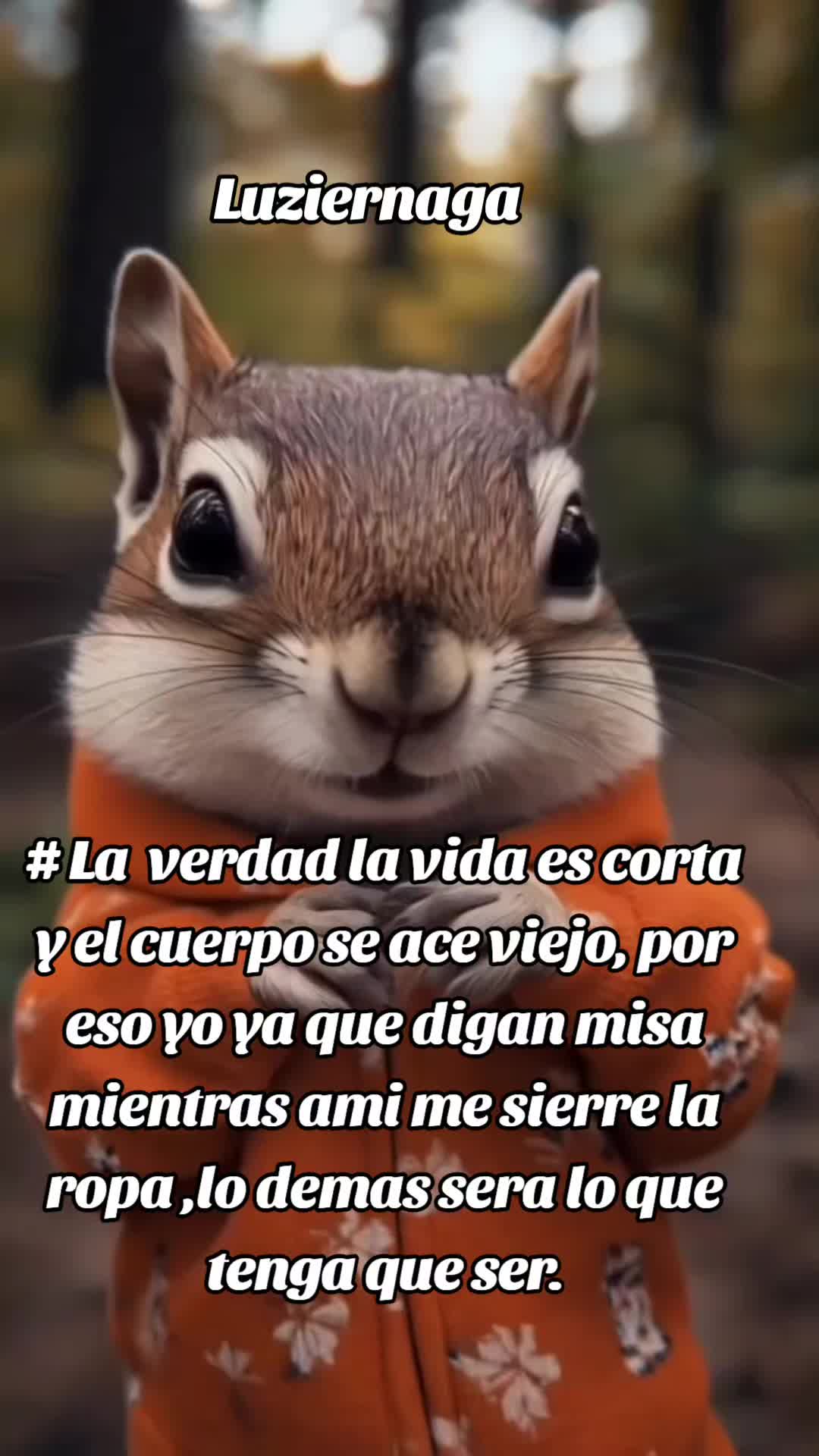 @luzEst.#**ver vitrina gracias