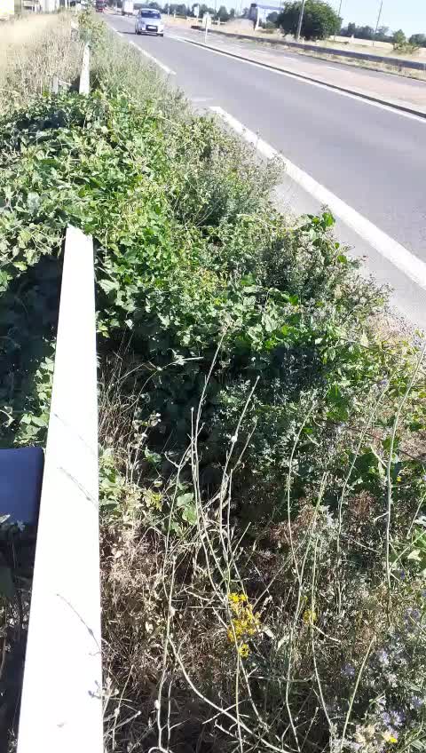 @๐๐จ ๐ท๐๐๐๐๐ ๐๐จ