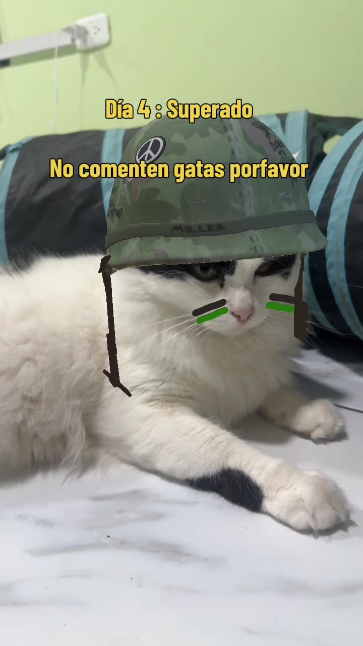 @pepe_el_gordillo