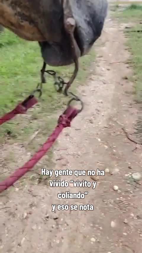 @️