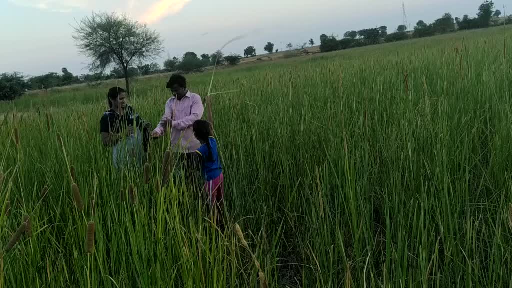 @Rohith Parthepuram