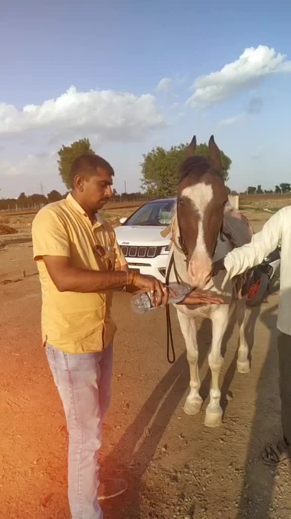 @Dhaval JaNi
