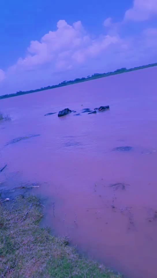 @ରଞନ କୁମାର ପରିଡା