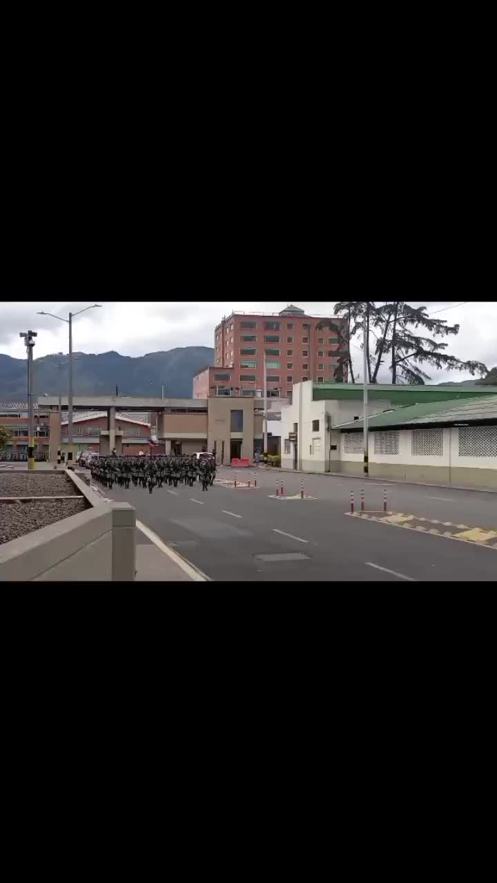 @PIRIDAVIDOFICIAL
