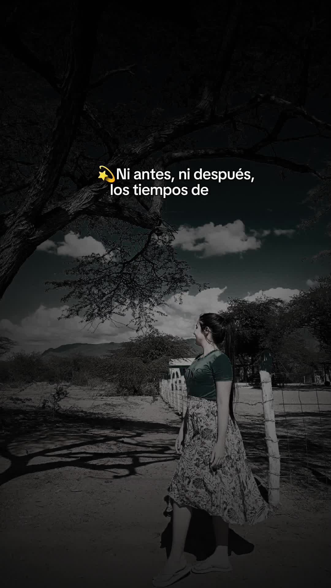 @Winiffer Meza 🌸