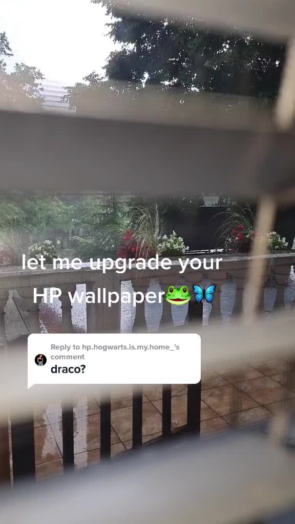 @How the HP boys would react🦋