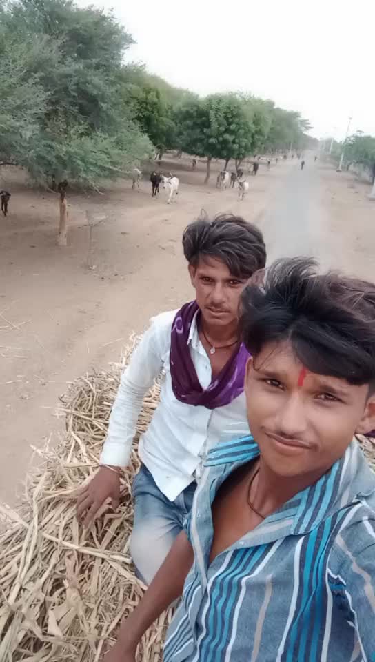 @Bharat Majiyatar42
