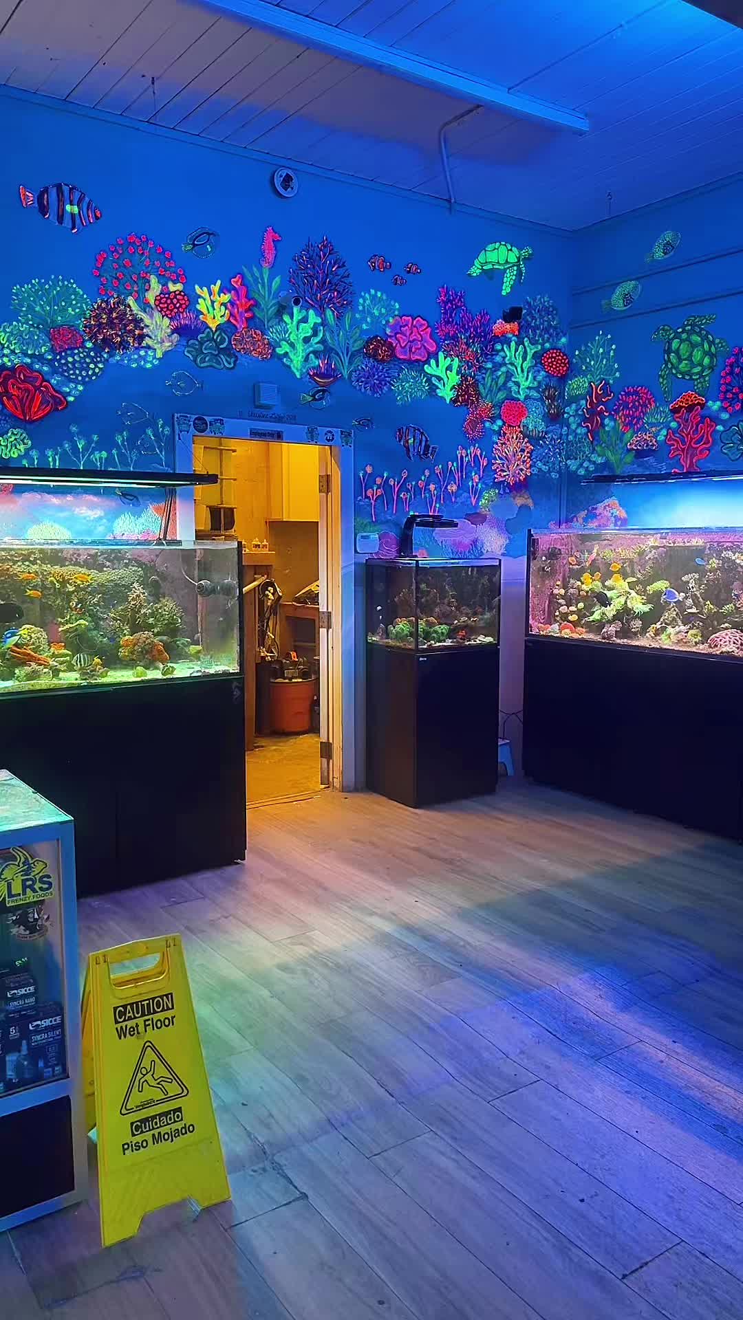 @Palmetto Reef