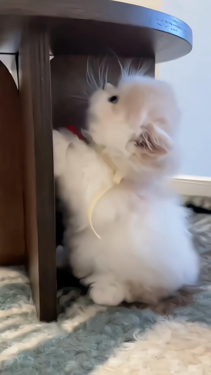 @๐ฆโฃโ๐ ๐ ๐ ๐๐ ุฎุงู