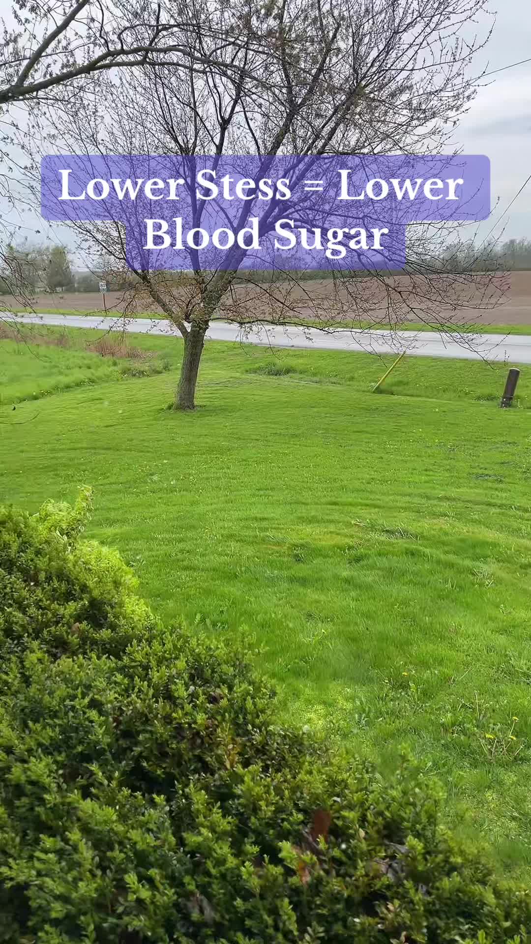 @BloodSugarBalancewithLindsay