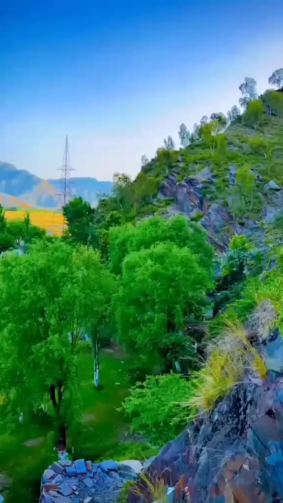 @🇸𝐚𝐧𝐚 🇸𝐭𝐮𝐝𝐢𝐨