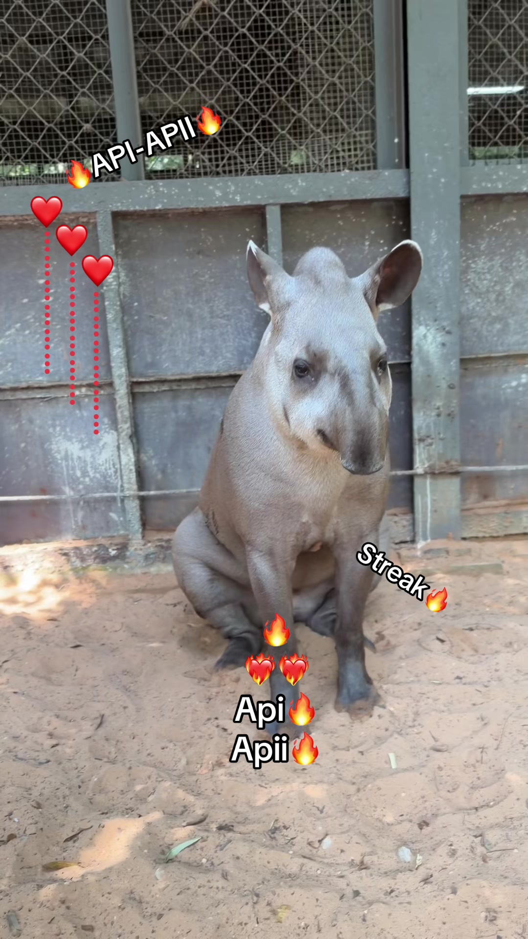@Chuppy