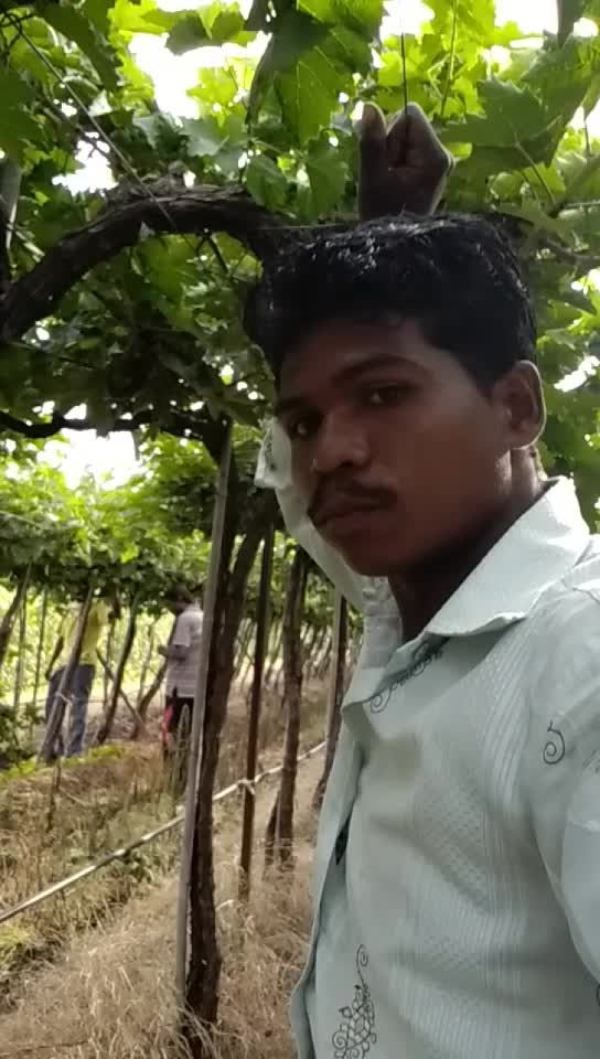 @Miss you pillu