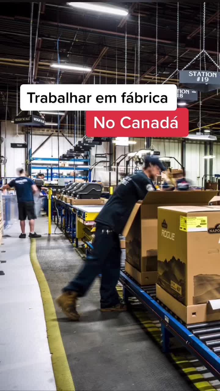 @Farofa de Maple
