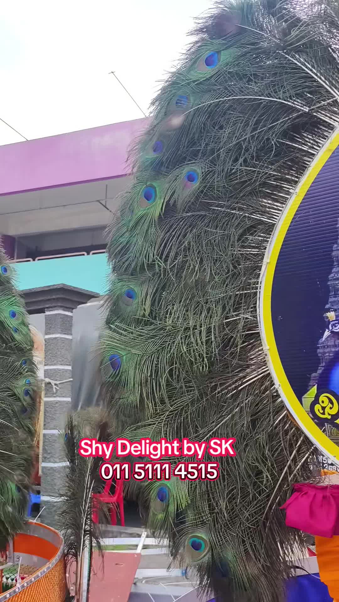 @Shy Delight by SK