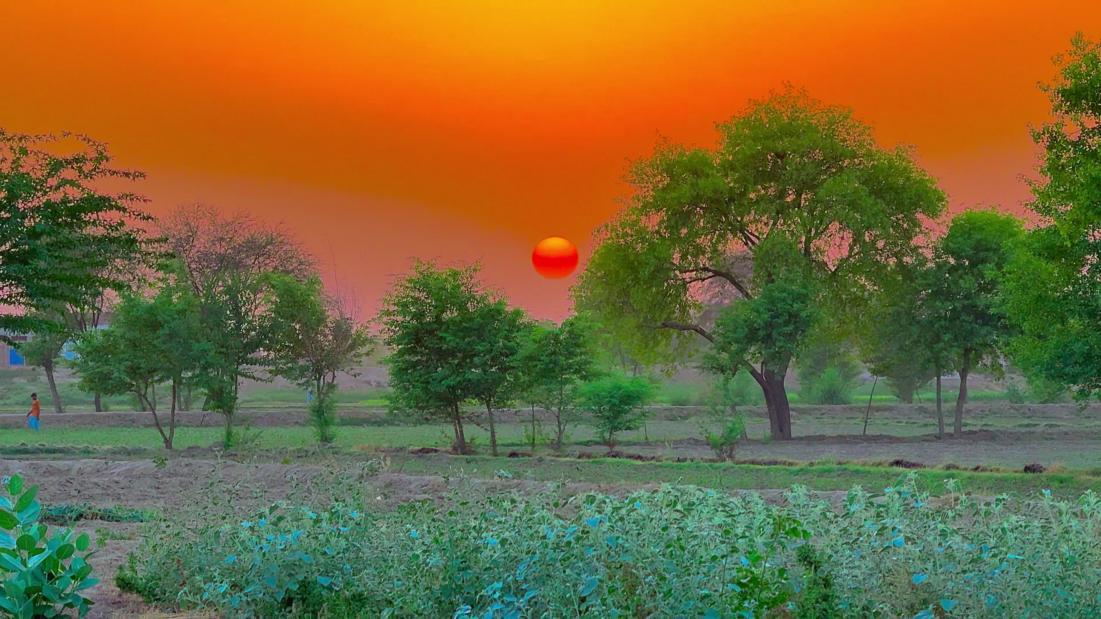 @🌾میں۔ میرا۔ پنڈ🎋