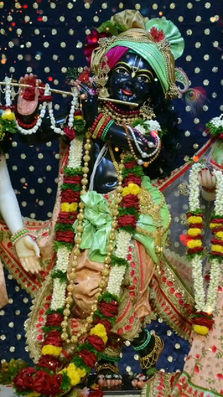 @riddhibhardwaj1315