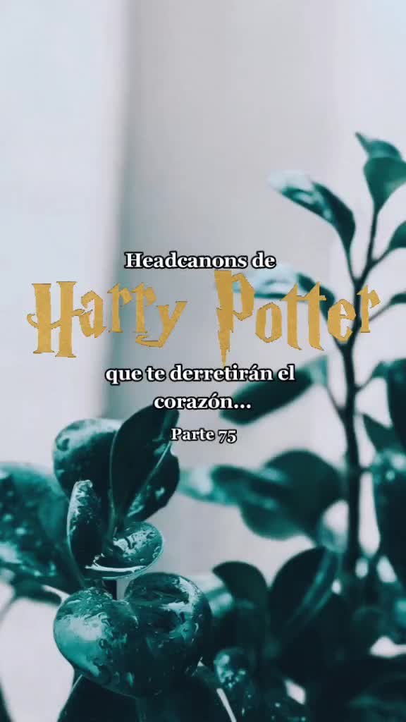 @Morrita de Ravenclaw 💙