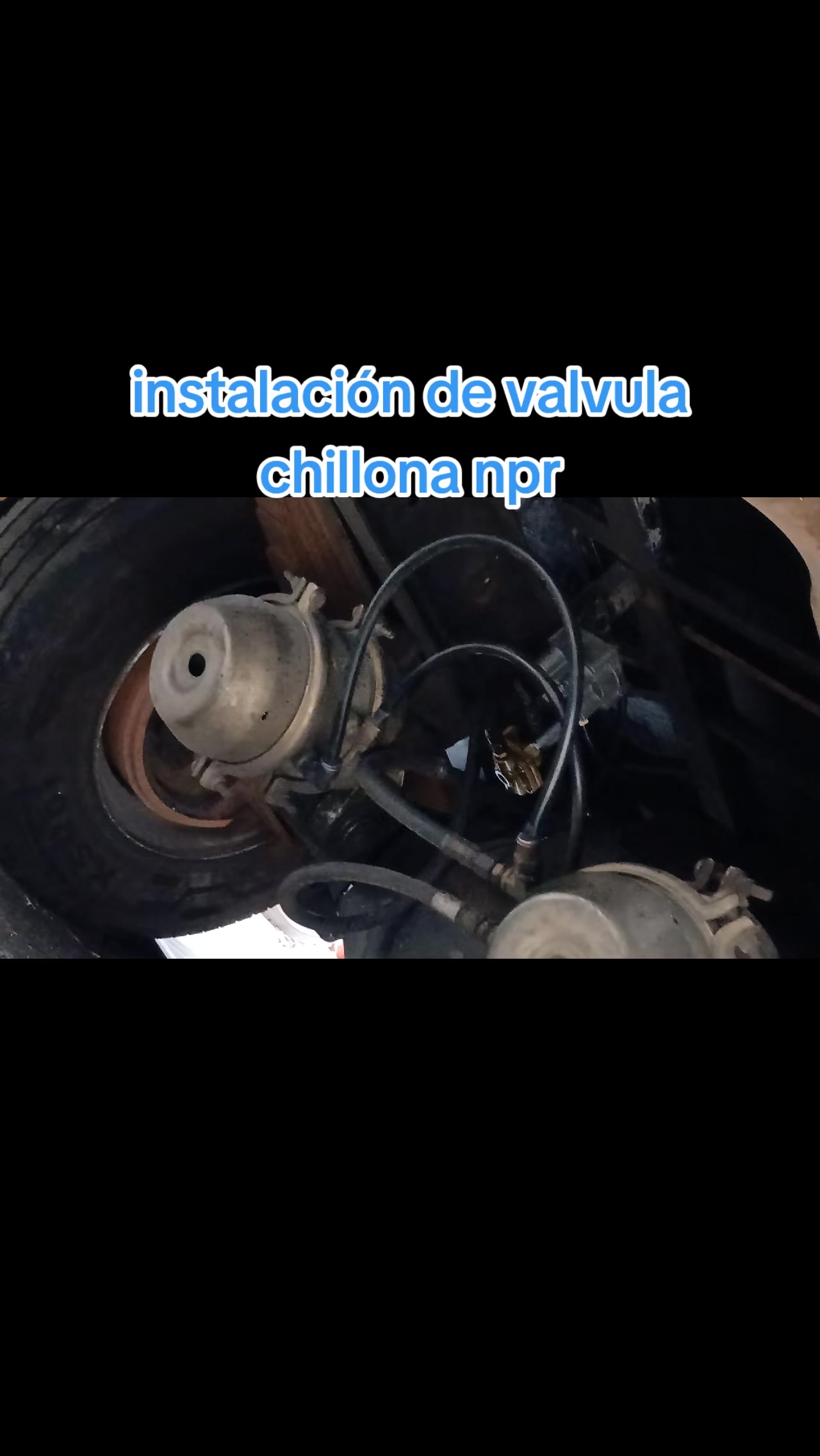 @taller PAINTBUS...