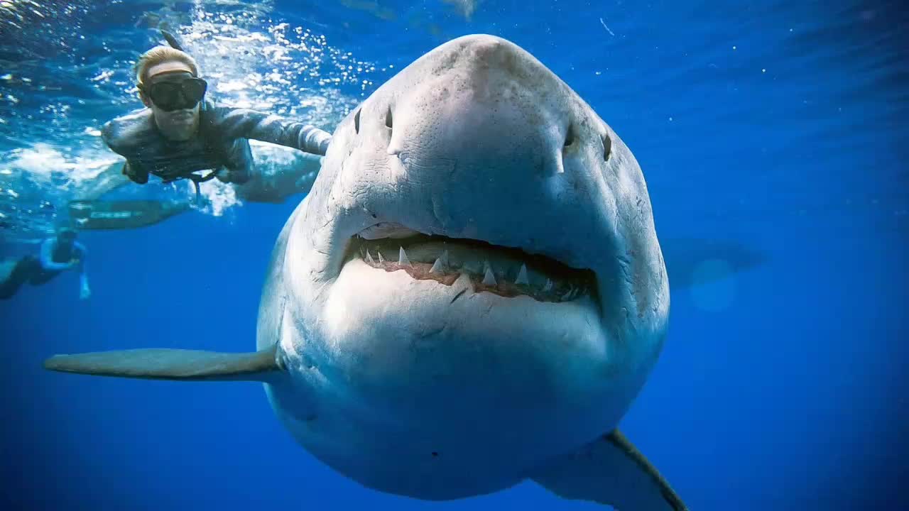 @gaelruiz3672
