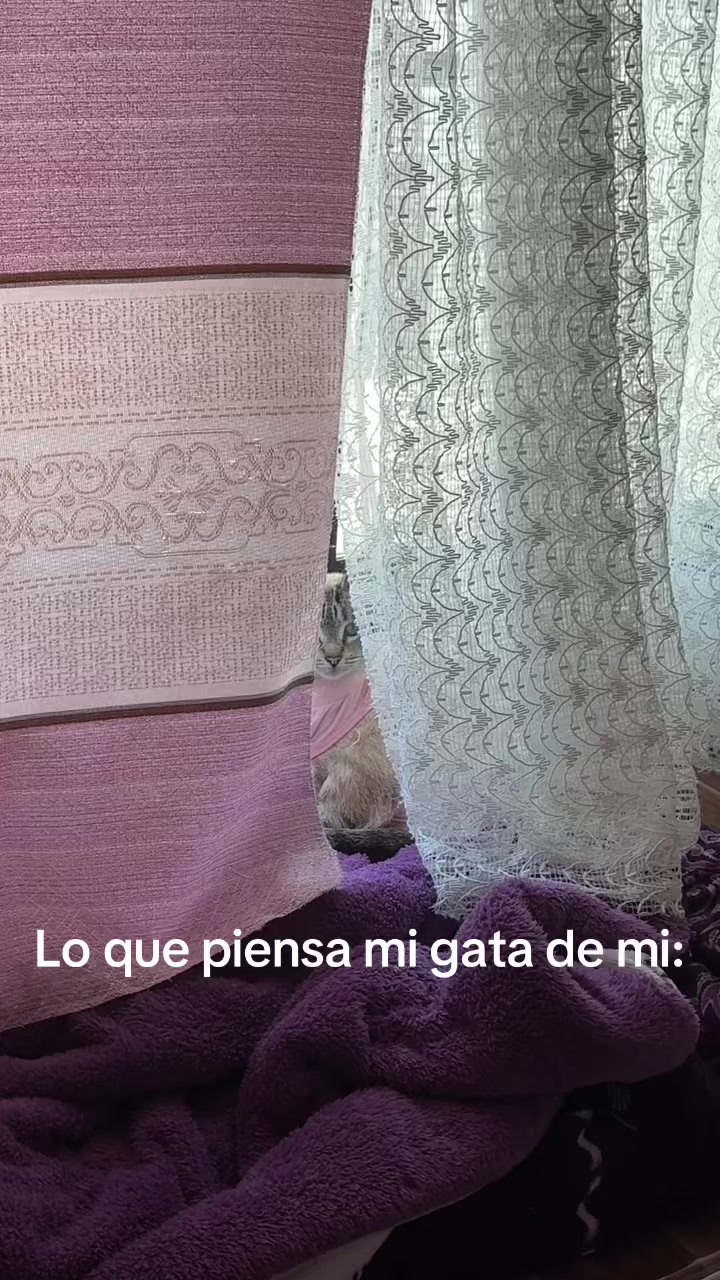 @𓂃 ོ☼𓂃