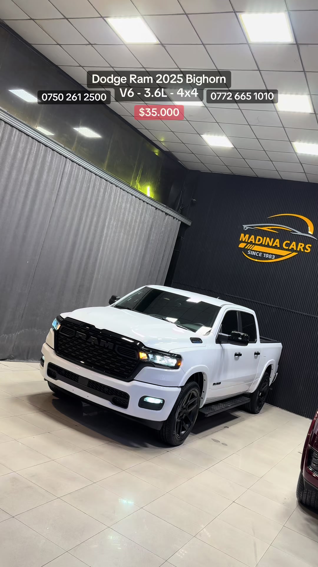 @Madina Cars