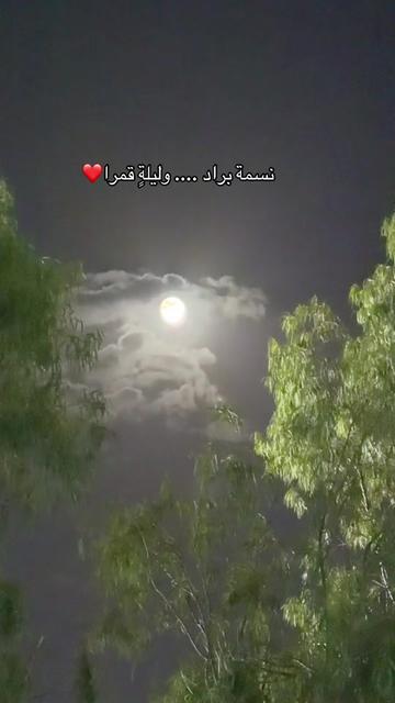 @أميرة الزهراني..موثوق