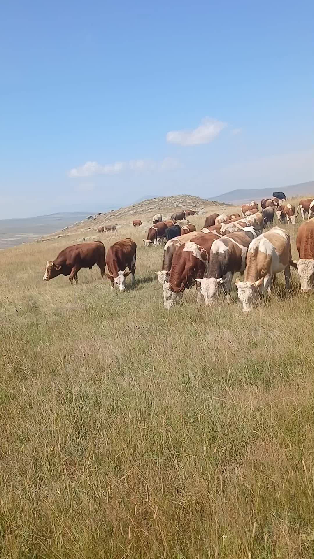 @Gökhan Çoban