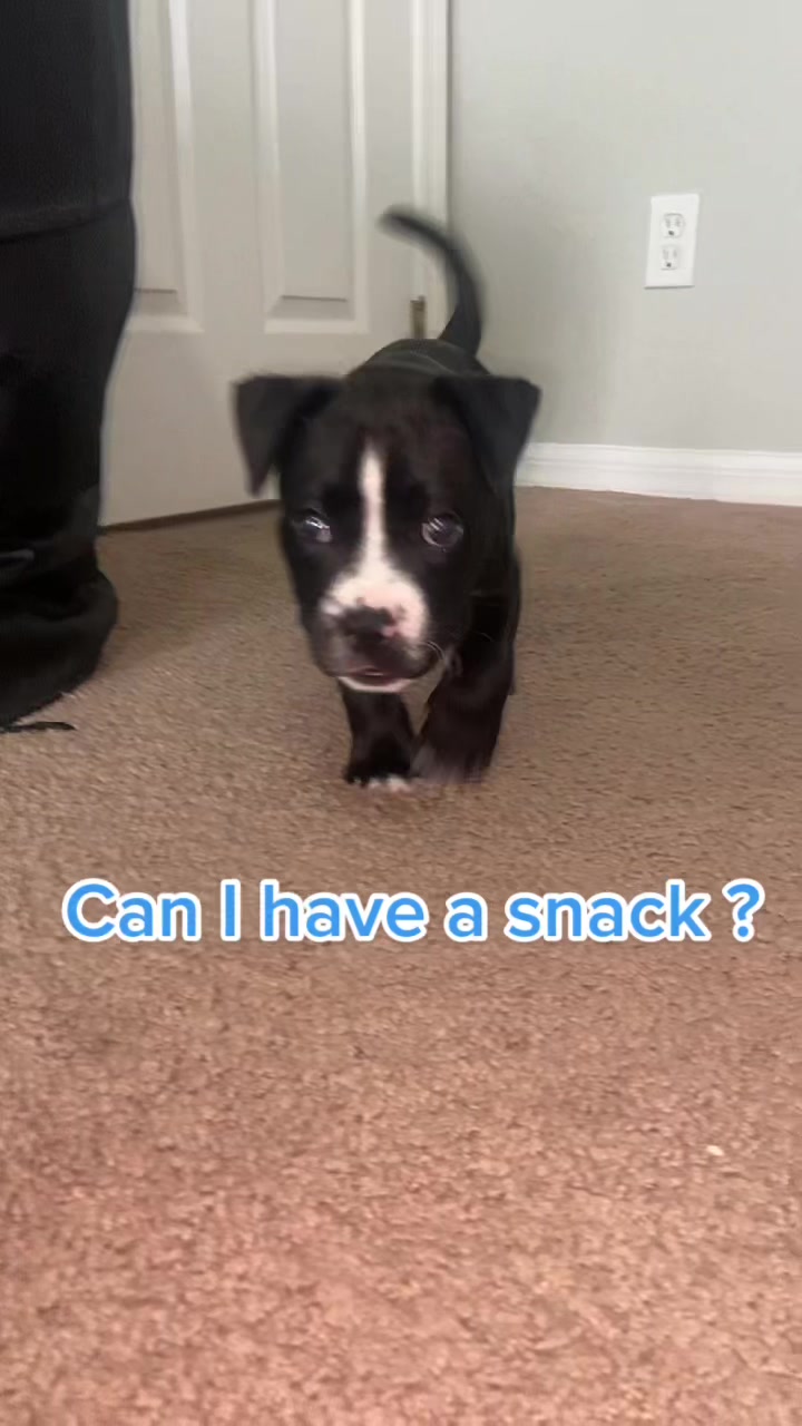 @Acebully