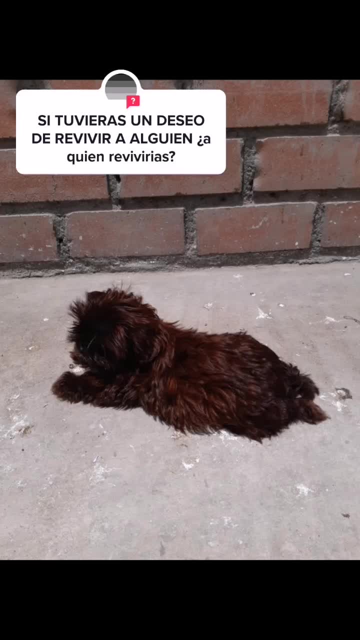 @🐕Meta : 90K