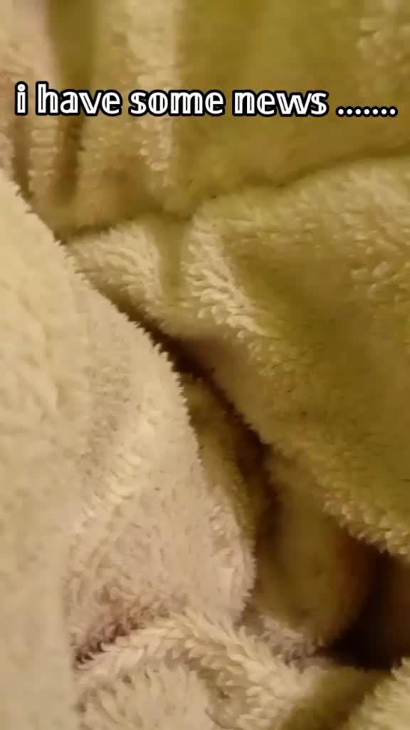 @sapnap736