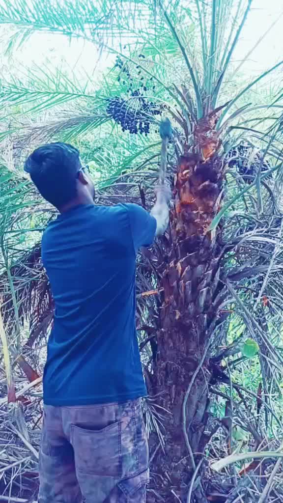 @pruthvirajgoud7674