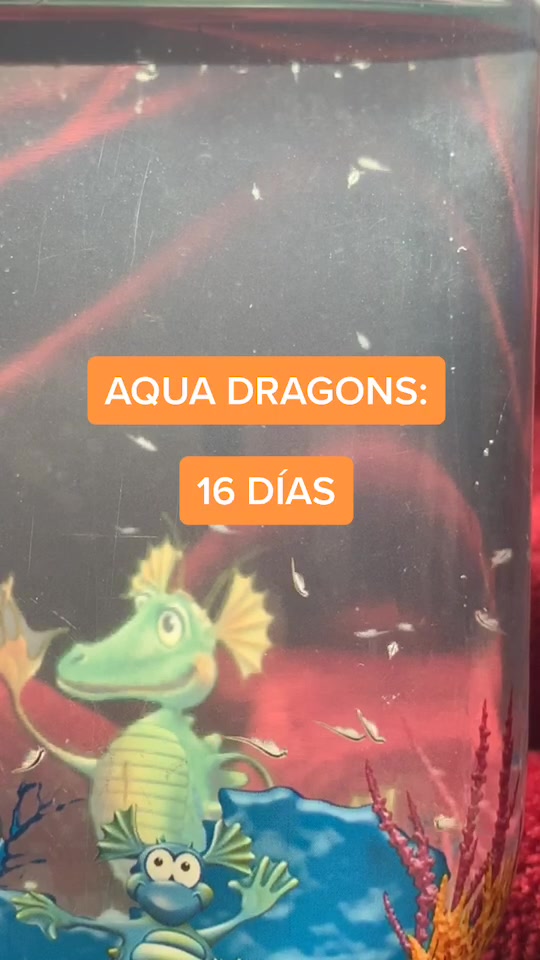 @mini.dragons