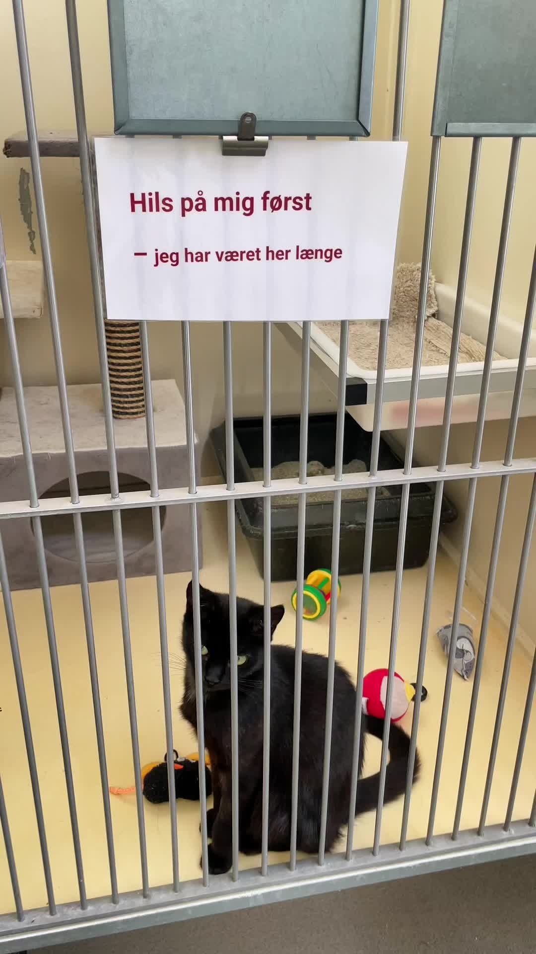 @Dyrenes Beskyttelse Århus