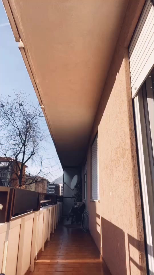 @maricarotondoofficia